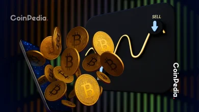 黄金抛物线式上涨,比特币价格反弹至 11.4 万美元以上;这是牛市陷阱吗?